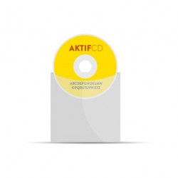 100 CD Sérigraphie Couleur Pochette Plastique
