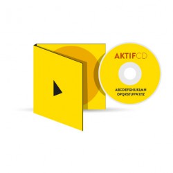 Pack Digipack 2 volets 300 CD  Livraison Offerte