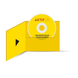 Pack Digifile cd  1000 CD  Livraison Offerte