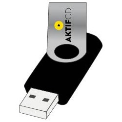 25 Clés USB Twister