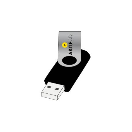 250 Clés USB Twister