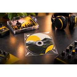 100 cd en pochette plastique