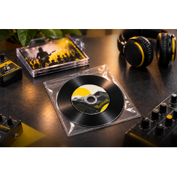 300 cd en pochette plastique