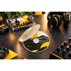 10 CD en boitier Shell
