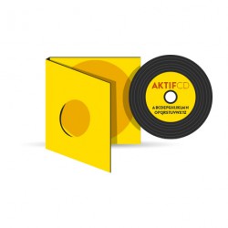 250 Digipack CD type vinyle